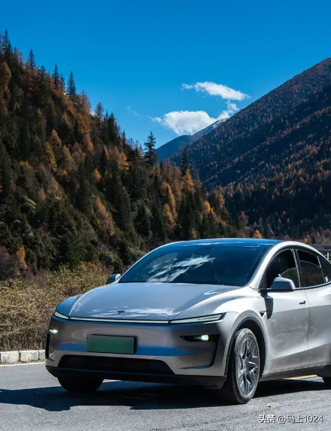 韩国11月进口车销量飙升!特斯拉夺冠,比亚迪进前五