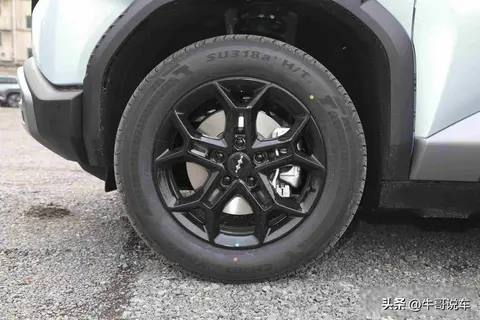 3月13日，比亚迪将要上市一款